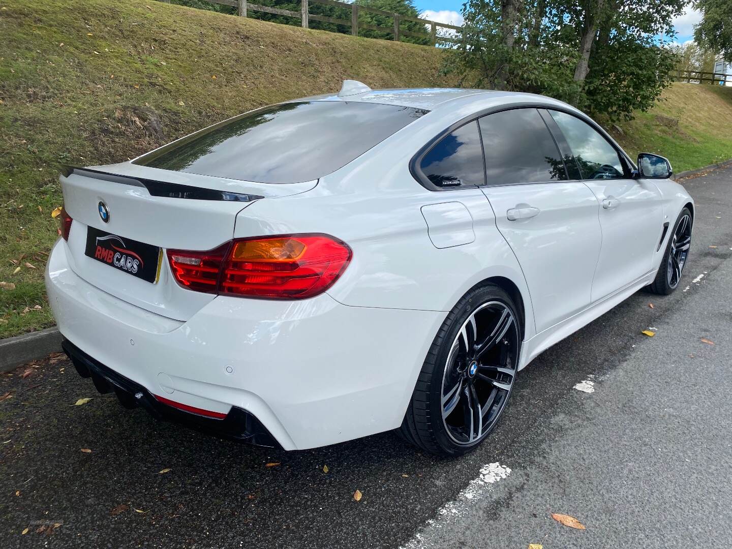 BMW 4 Series GRAN DIESEL COUPE in Down