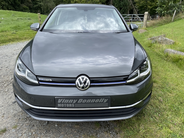 Volkswagen Golf HATCHBACK in Down