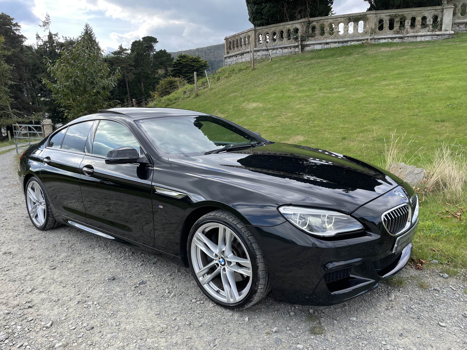 BMW 6 Series GRAN DIESEL COUPE in Down