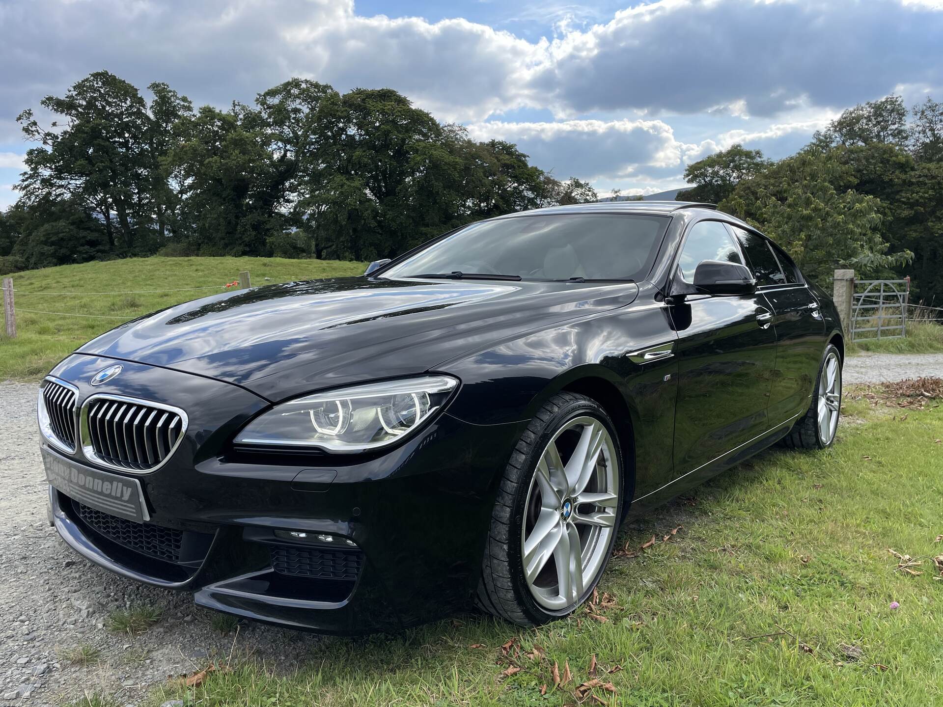 BMW 6 Series GRAN DIESEL COUPE in Down