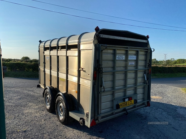 Ifor Williams Livestock Trailer in Armagh