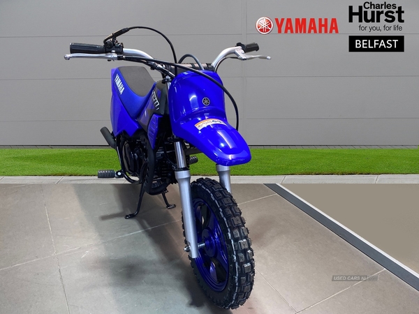 Yamaha PW Series PW 50 (24MY) in Antrim