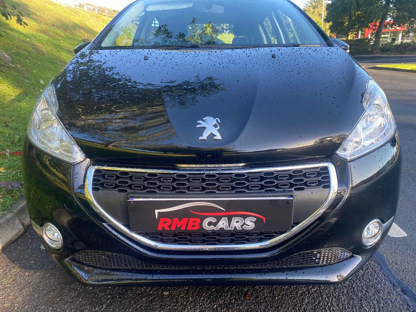 Peugeot 208 DIESEL HATCHBACK in Down