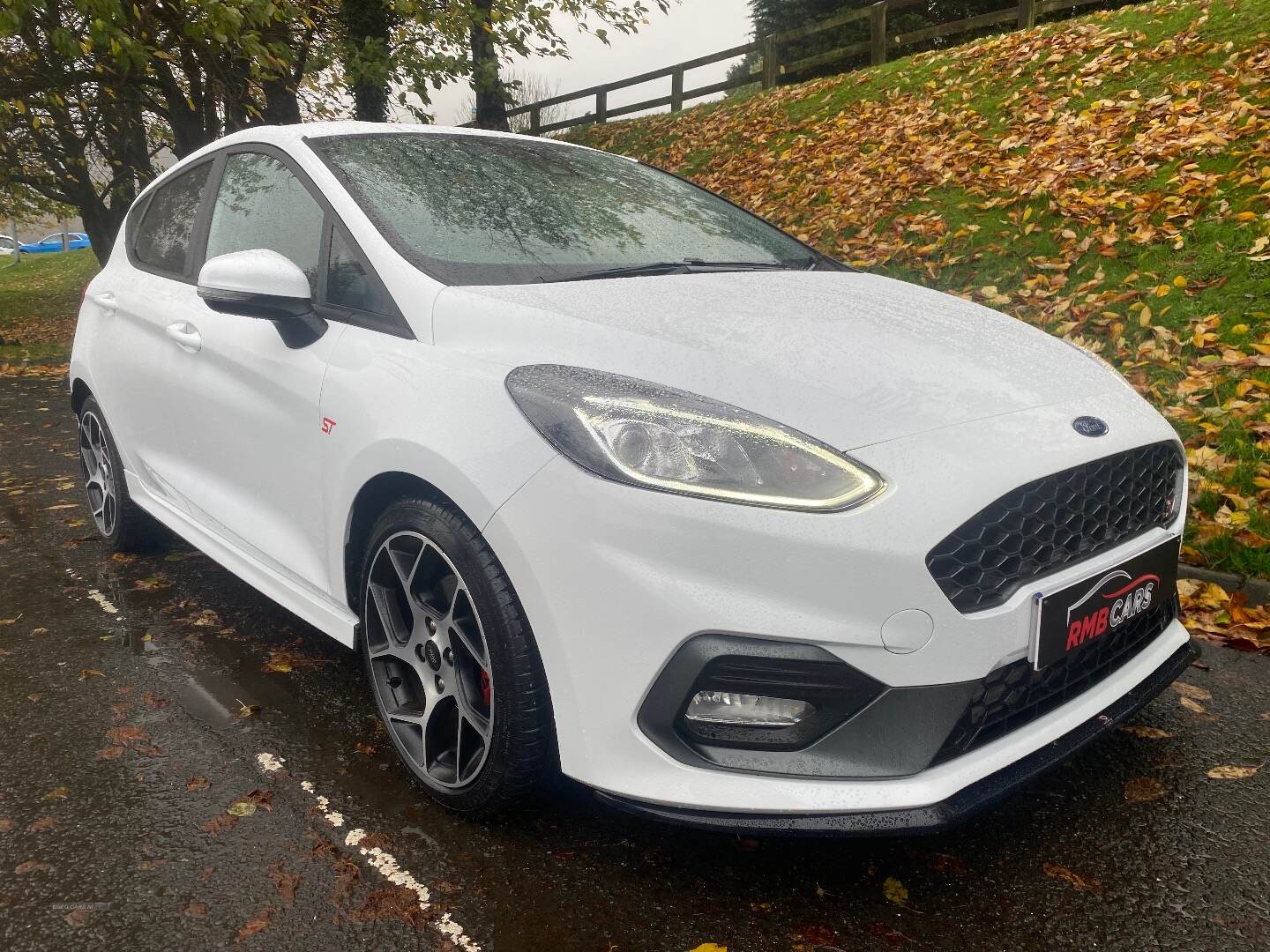 Ford Fiesta HATCHBACK in Down