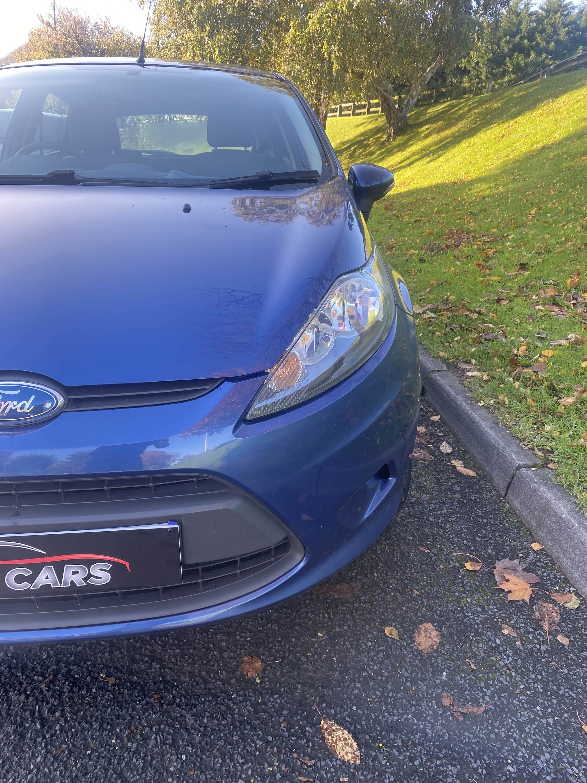 Ford Fiesta HATCHBACK in Down