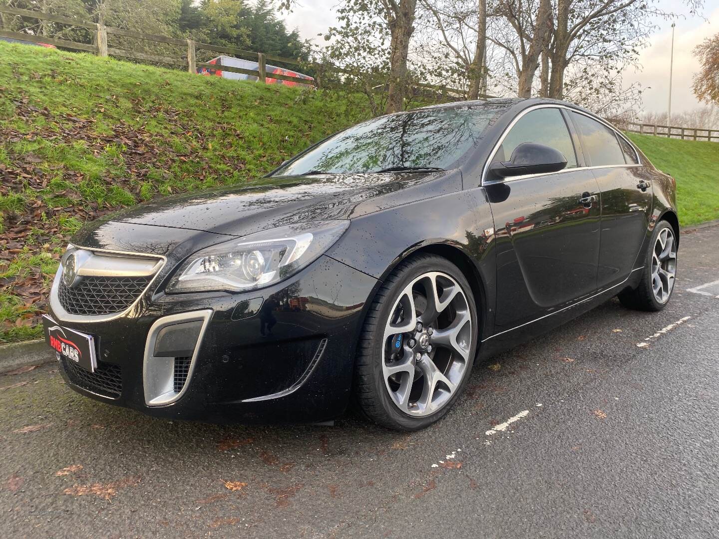 Vauxhall Insignia HATCHBACK in Down