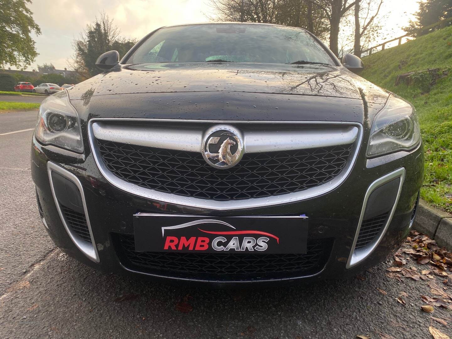 Vauxhall Insignia HATCHBACK in Down