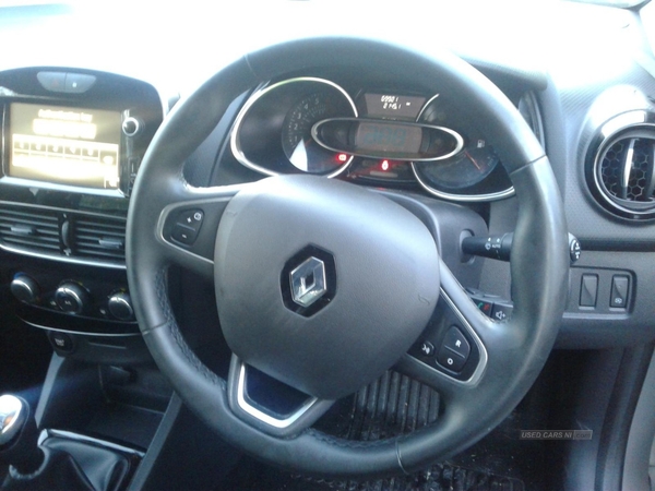 Renault Clio in Armagh