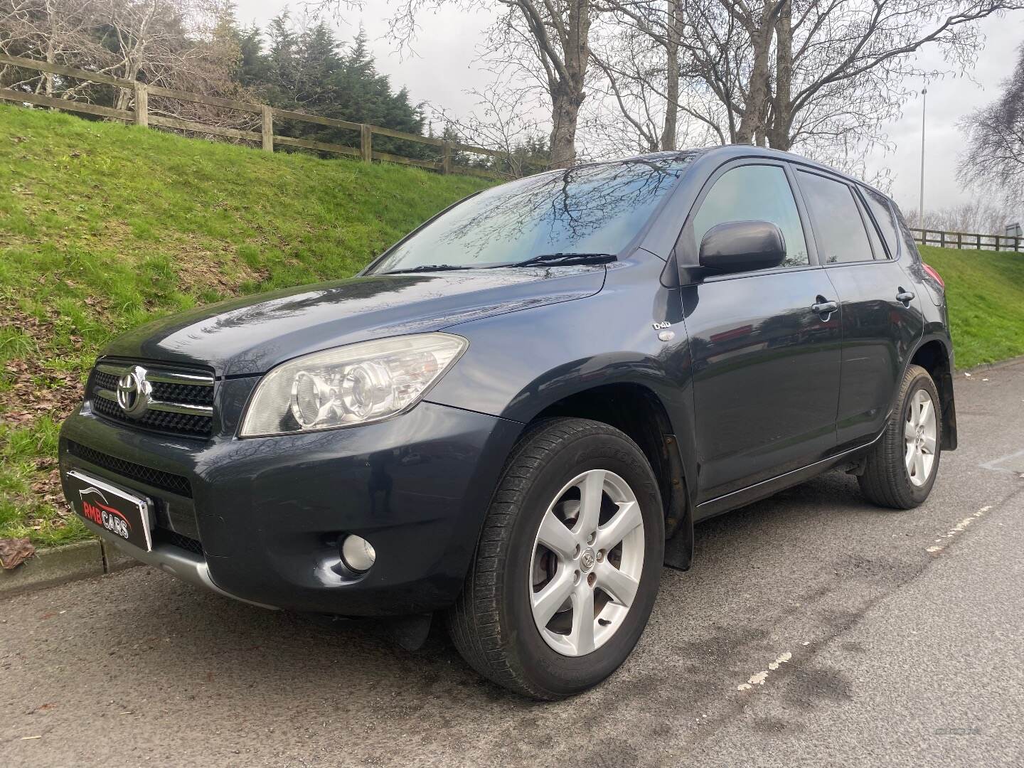 Toyota RAV4 ESTATE SPECIAL EDITIONS in Down