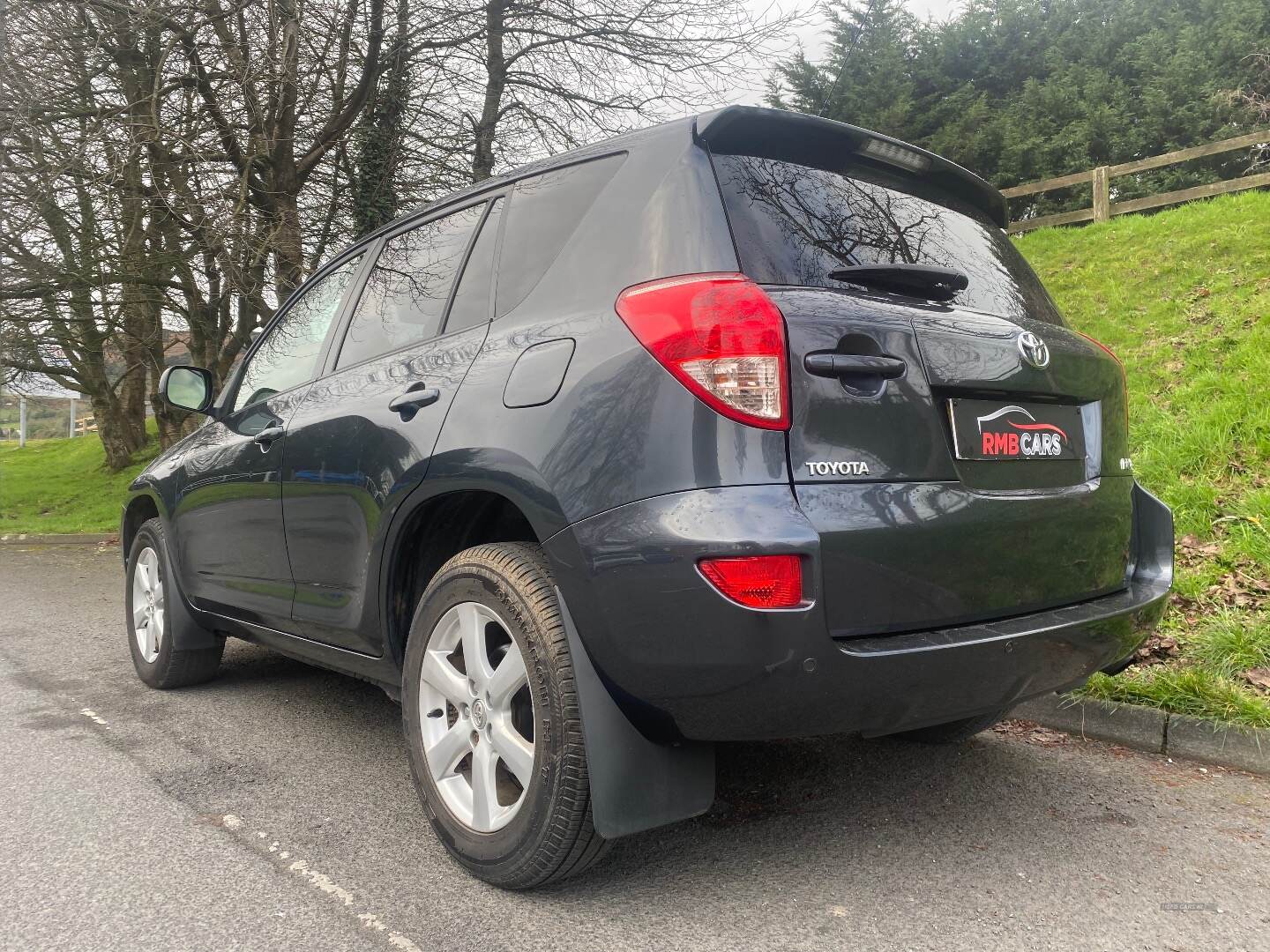 Toyota RAV4 ESTATE SPECIAL EDITIONS in Down