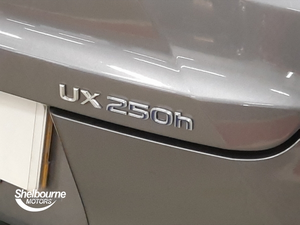 Lexus UX 250h 2.0 E-CVT Euro 6 (s/s) 5dr in Down