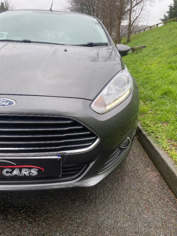 Ford Fiesta HATCHBACK in Down