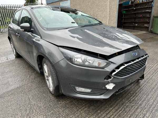 Ford Focus ZETEC 1.6 TDCI 5dr in Down