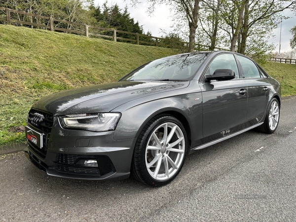 Audi A4 SALOON SPECIAL EDITIONS in Down