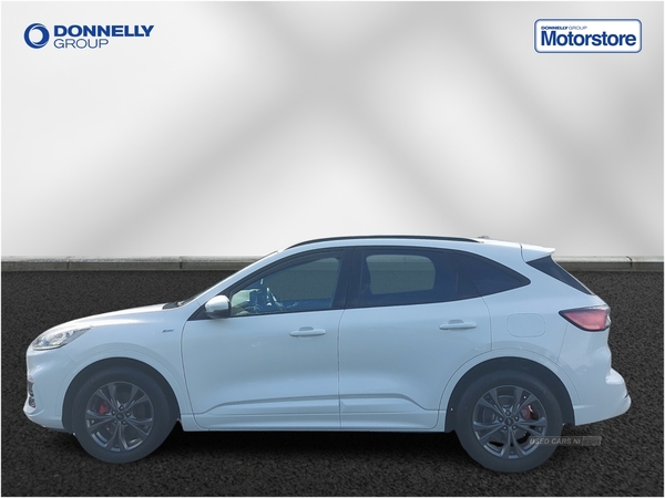 Ford Kuga 2.0 EcoBlue mHEV ST-Line 5dr in Fermanagh