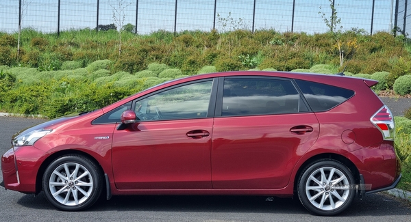 Toyota Prius + ESTATE in Armagh