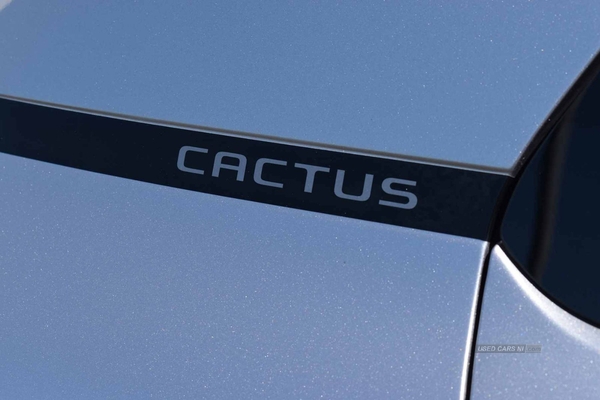 Citroen C4 Cactus Flair in Antrim