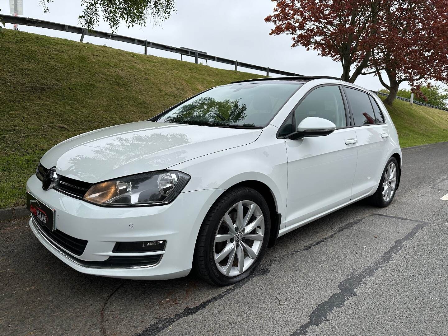 Volkswagen Golf DIESEL HATCHBACK in Down