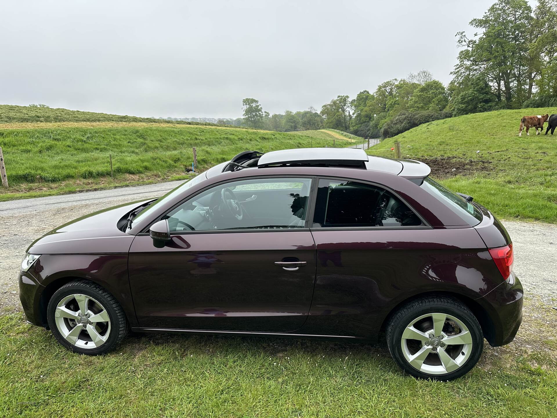 Audi A1 HATCHBACK in Down