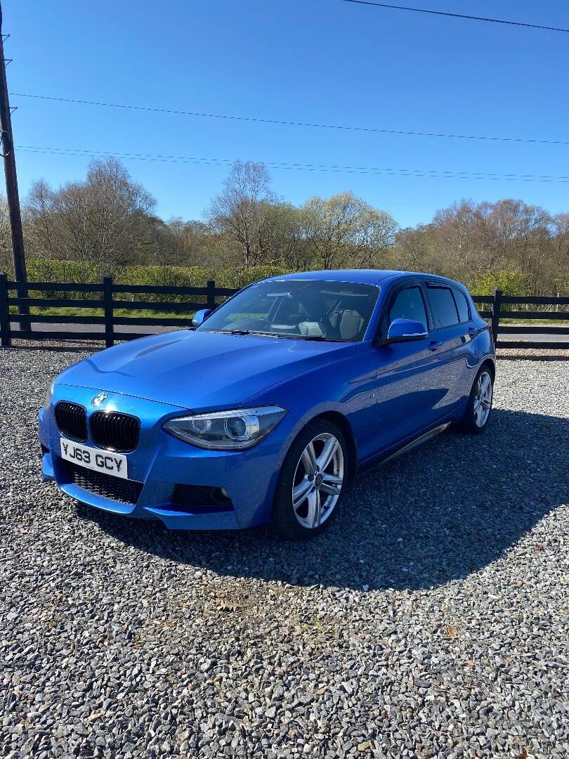 BMW 1 Series DIESEL HATCHBACK in Tyrone