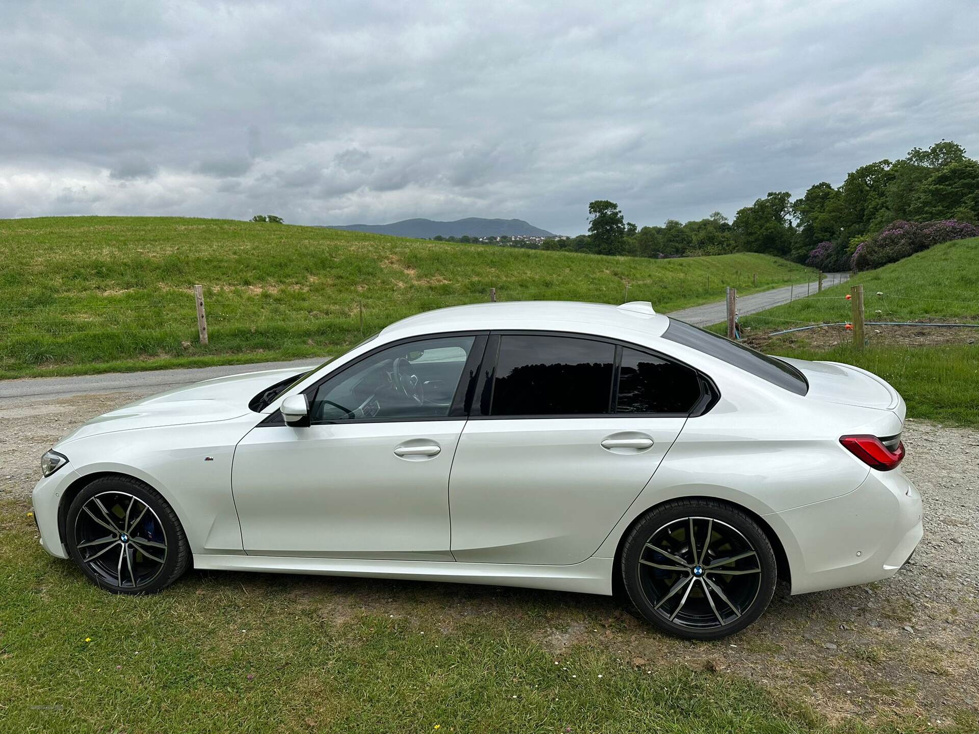 BMW 3 Series DIESEL SALOON in Down