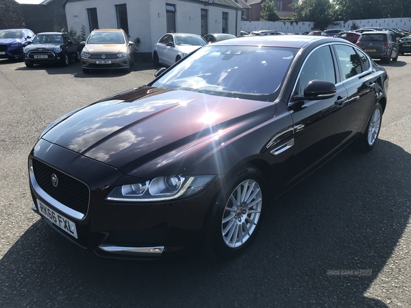 Jaguar XF DIESEL SALOON in Antrim