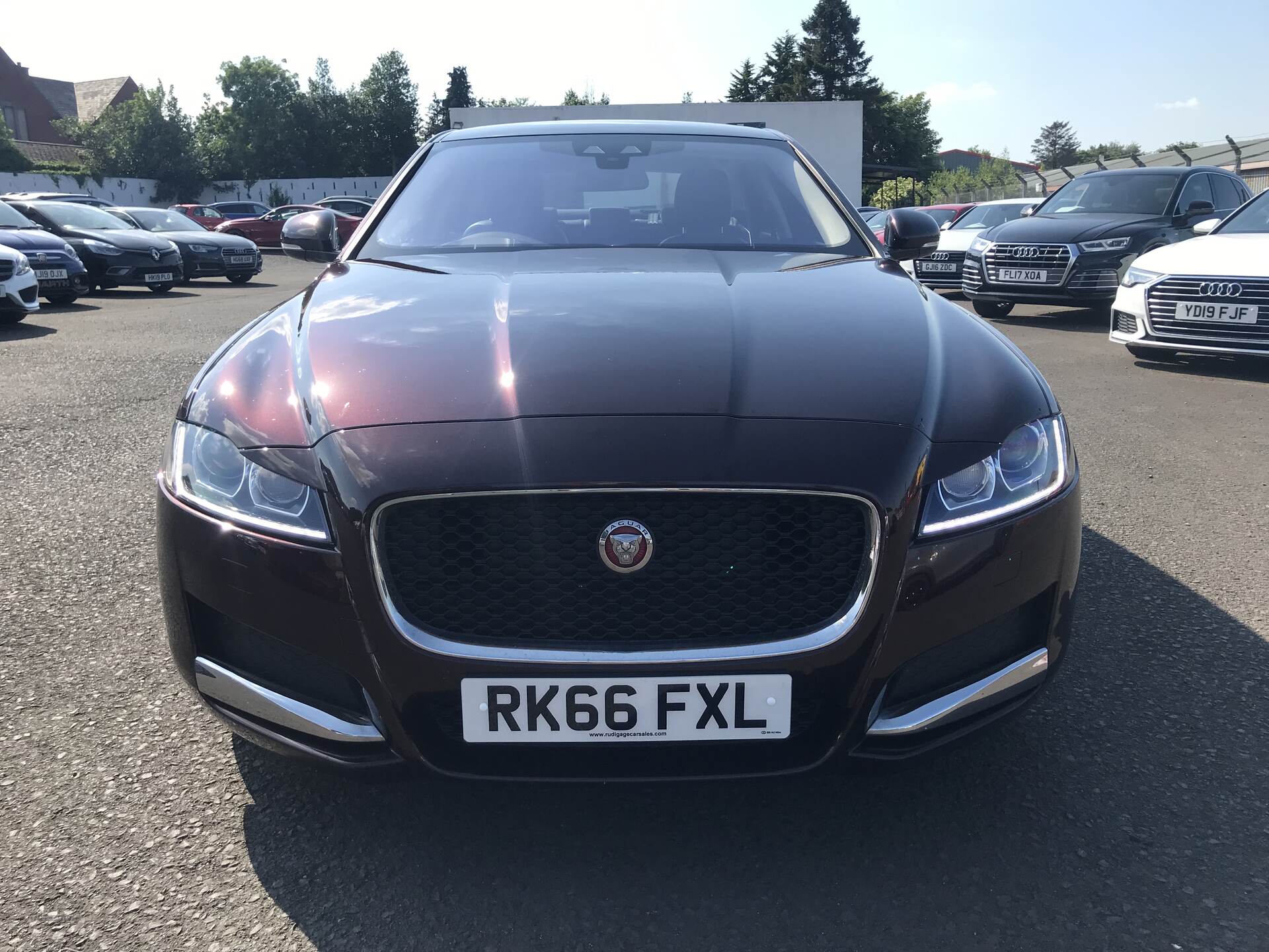 Jaguar XF DIESEL SALOON in Antrim