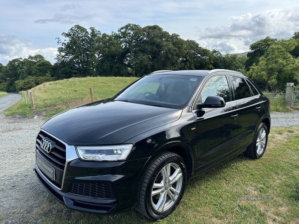 Audi Q3 ESTATE SPECIAL EDITIONS in Down