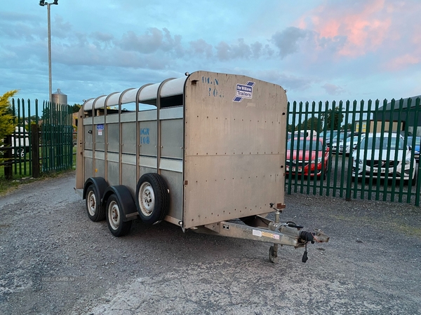 Ifor Williams Livestock Trailer in Armagh
