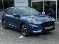 Ford Kuga 1.5T EcoBoost ST-Line X First Edition Euro 6 (s/s) 5dr in Down