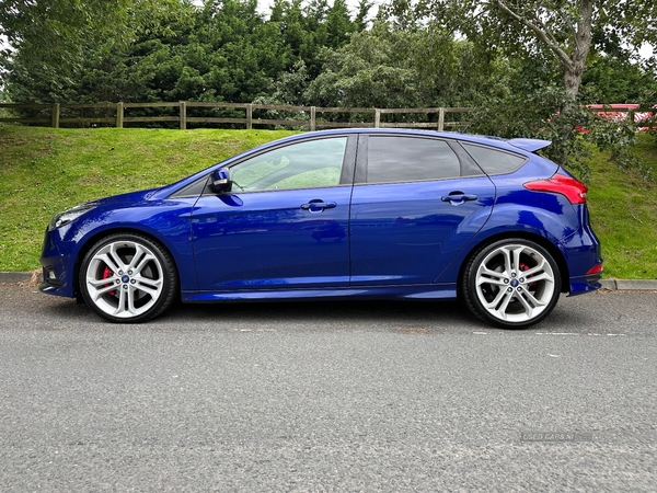 Ford Focus DIESEL HATCHBACK in Down