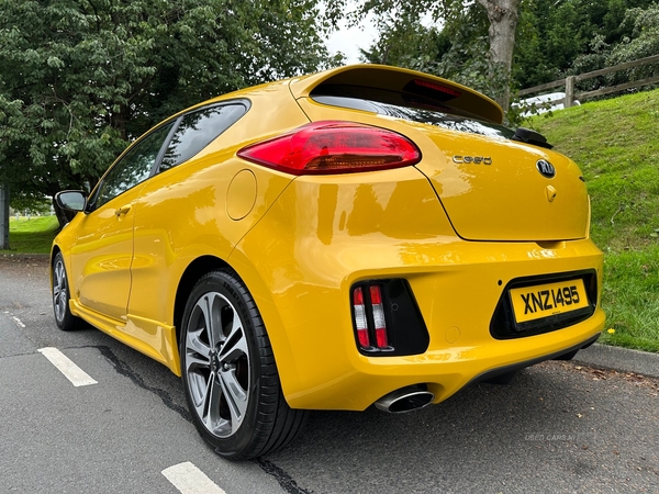 Kia Pro Ceed HATCHBACK in Down