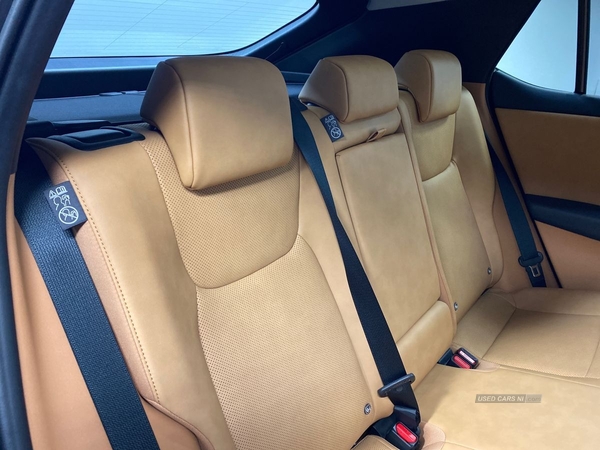Lexus RZ450e Premium Plus Pack - Range-250+ Miles Range in Antrim