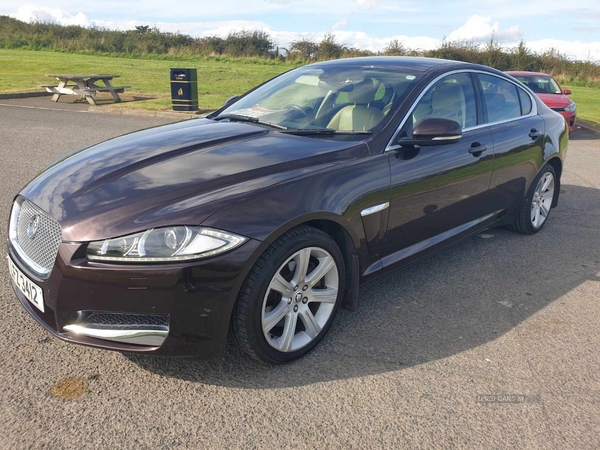 Jaguar XF MINT CONDITION in Down