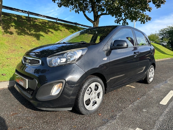 Kia Picanto HATCHBACK in Down