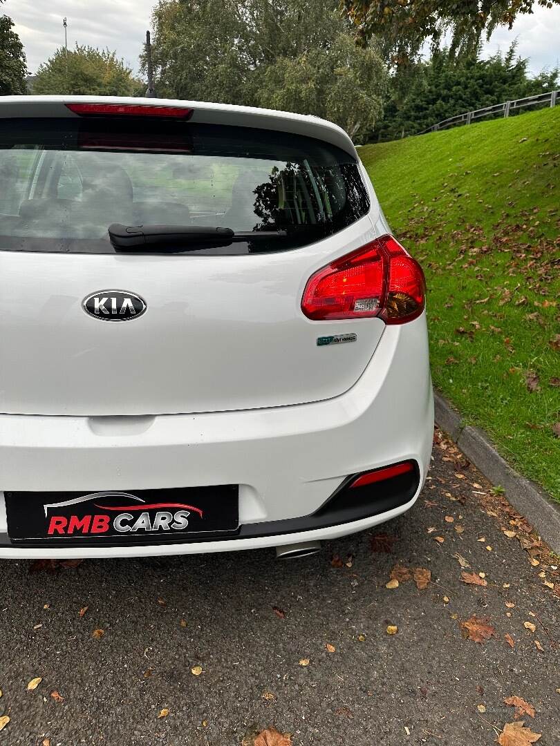 Kia Ceed DIESEL HATCHBACK in Down