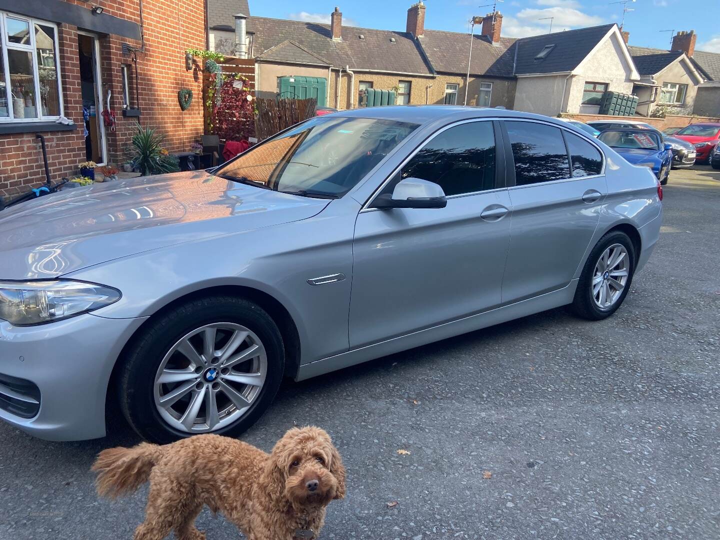 BMW 5 Series DIESEL SALOON in Armagh