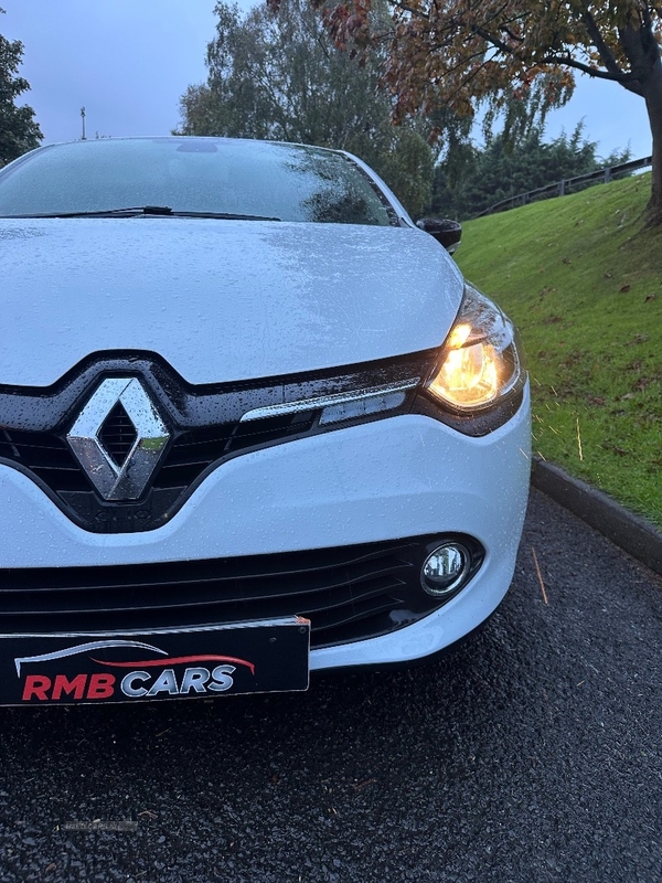 Renault Clio HATCHBACK in Down