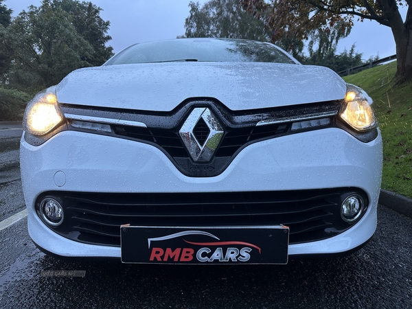 Renault Clio HATCHBACK in Down