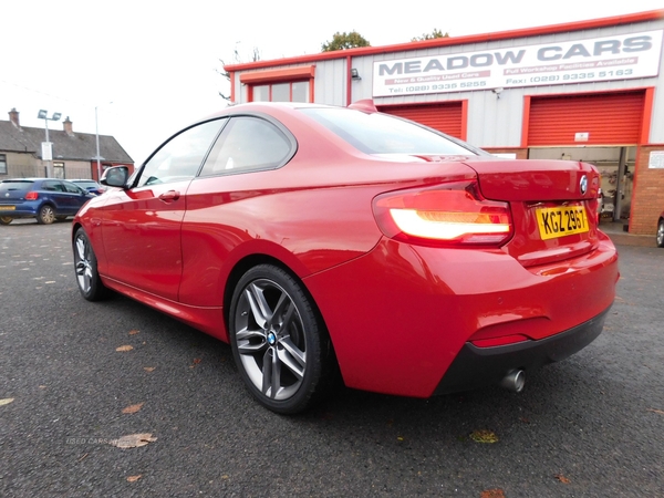 BMW 2 Series DIESEL COUPE in Antrim