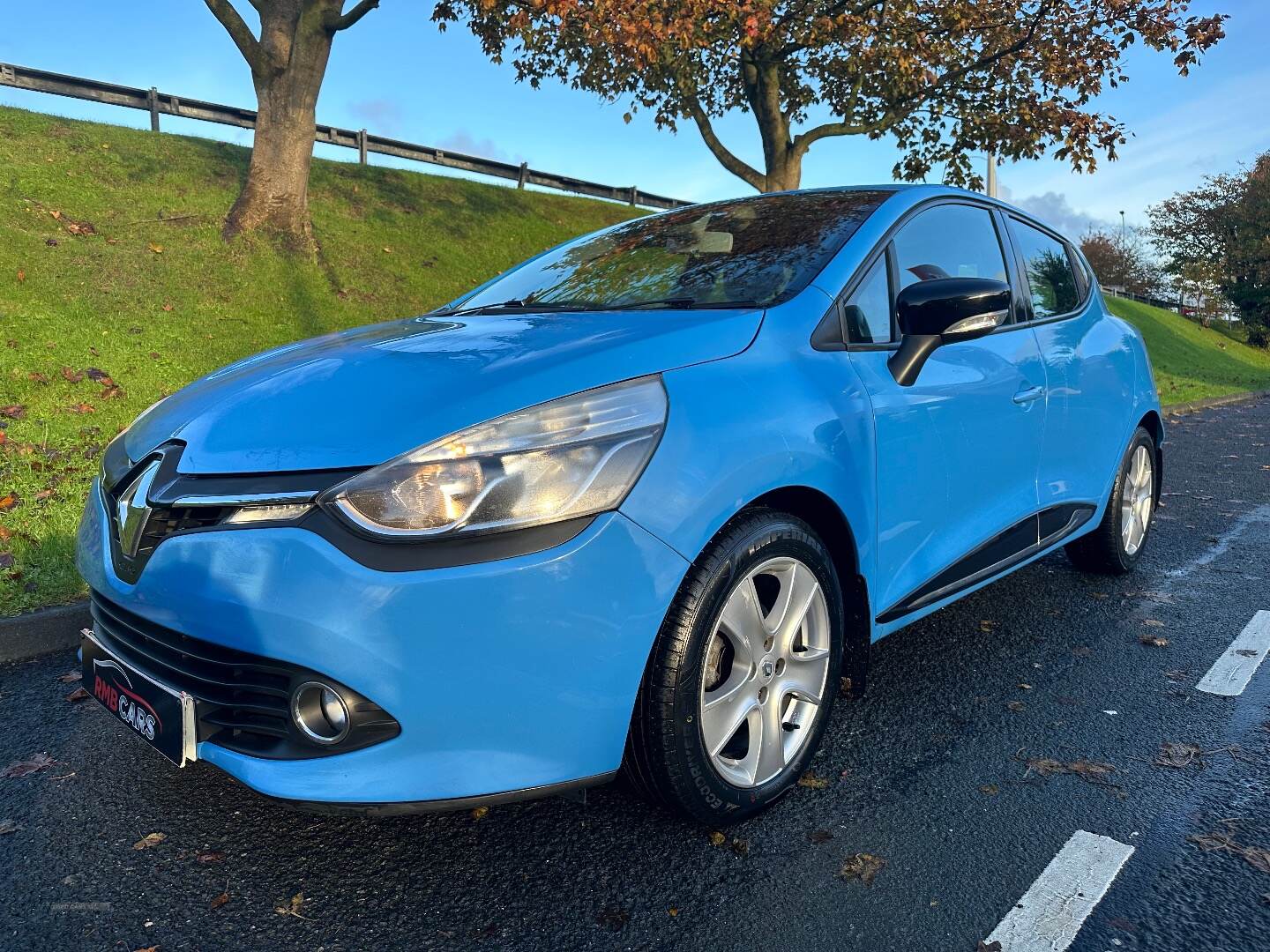 Renault Clio DIESEL HATCHBACK in Down