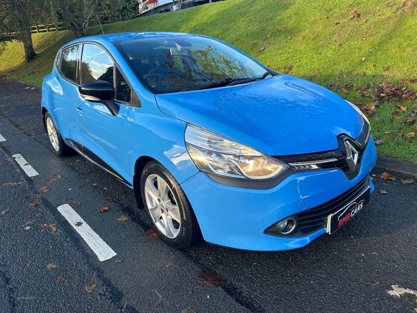 Renault Clio DIESEL HATCHBACK in Down