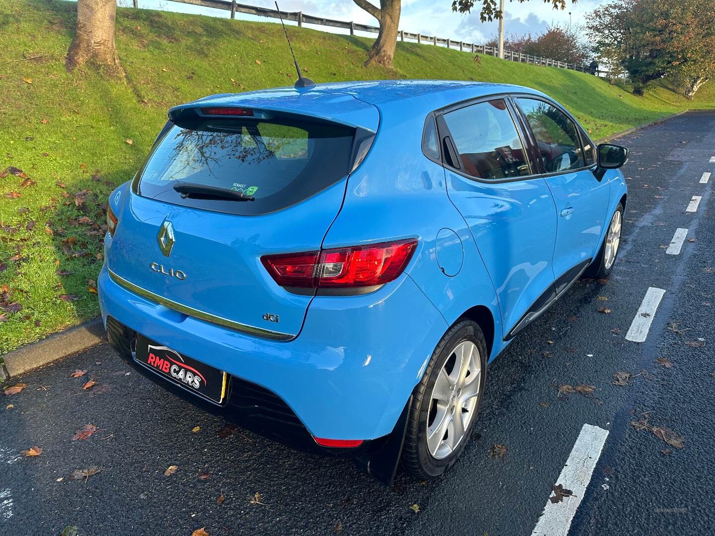 Renault Clio DIESEL HATCHBACK in Down