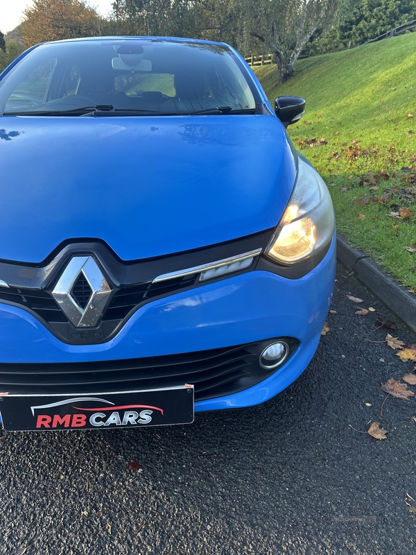 Renault Clio DIESEL HATCHBACK in Down