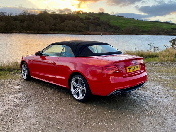Audi A5 CABRIOLET SPECIAL EDITIONS in Derry / Londonderry