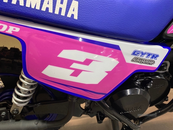 Yamaha PW Series PW 50 (24MY) Pink in Antrim