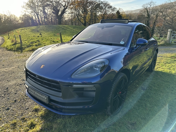 Porsche Macan ESTATE in Down