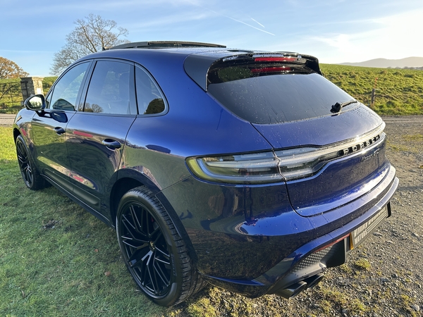 Porsche Macan ESTATE in Down