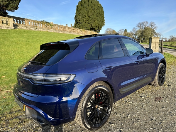 Porsche Macan ESTATE in Down