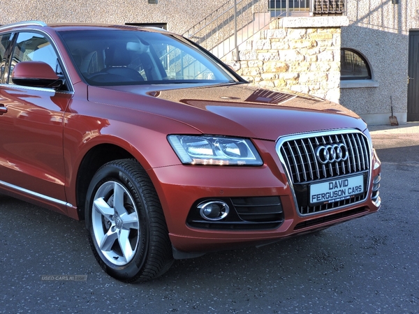 Audi Q5 DIESEL ESTATE in Tyrone